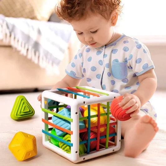 Buysera Box - Educational Box