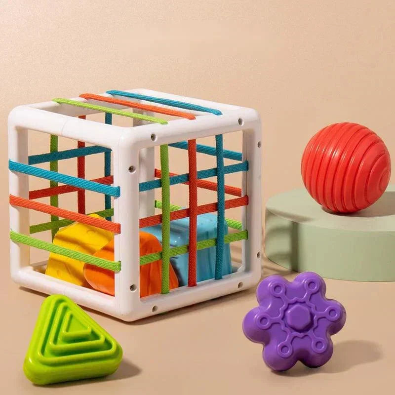 Buysera Box - Educational Box