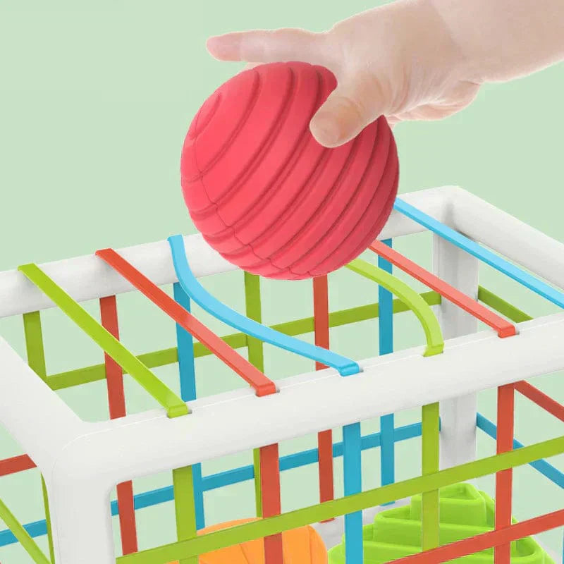 Buysera Box - Educational Box