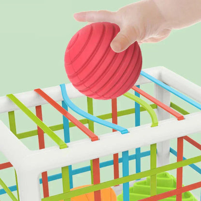 Buysera Box - Educational Box
