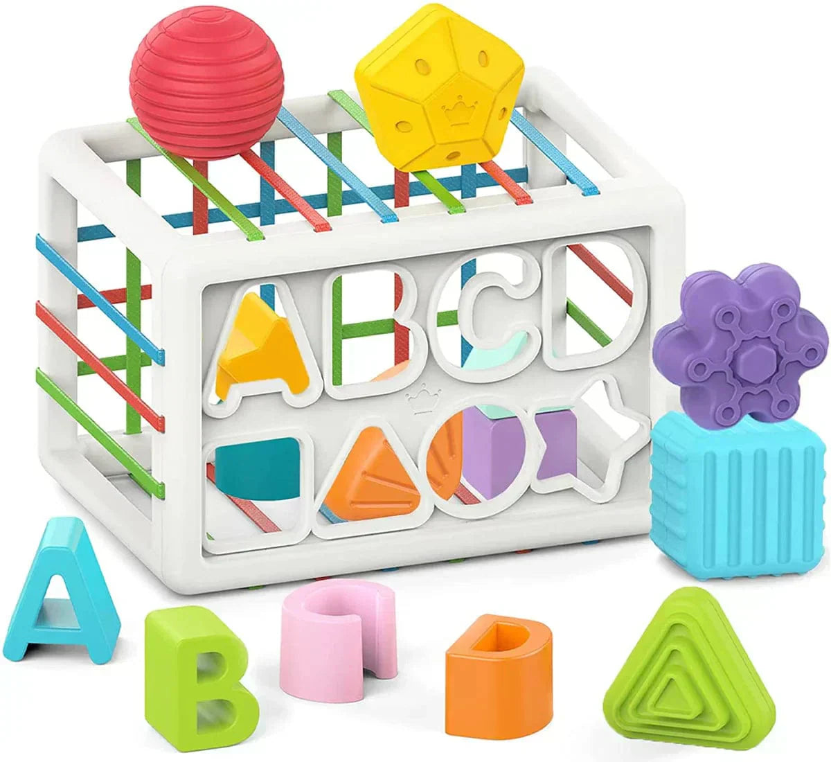 Buysera Box - Educational Box
