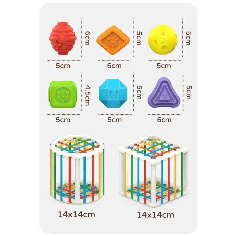 Buysera Box - Educational Box