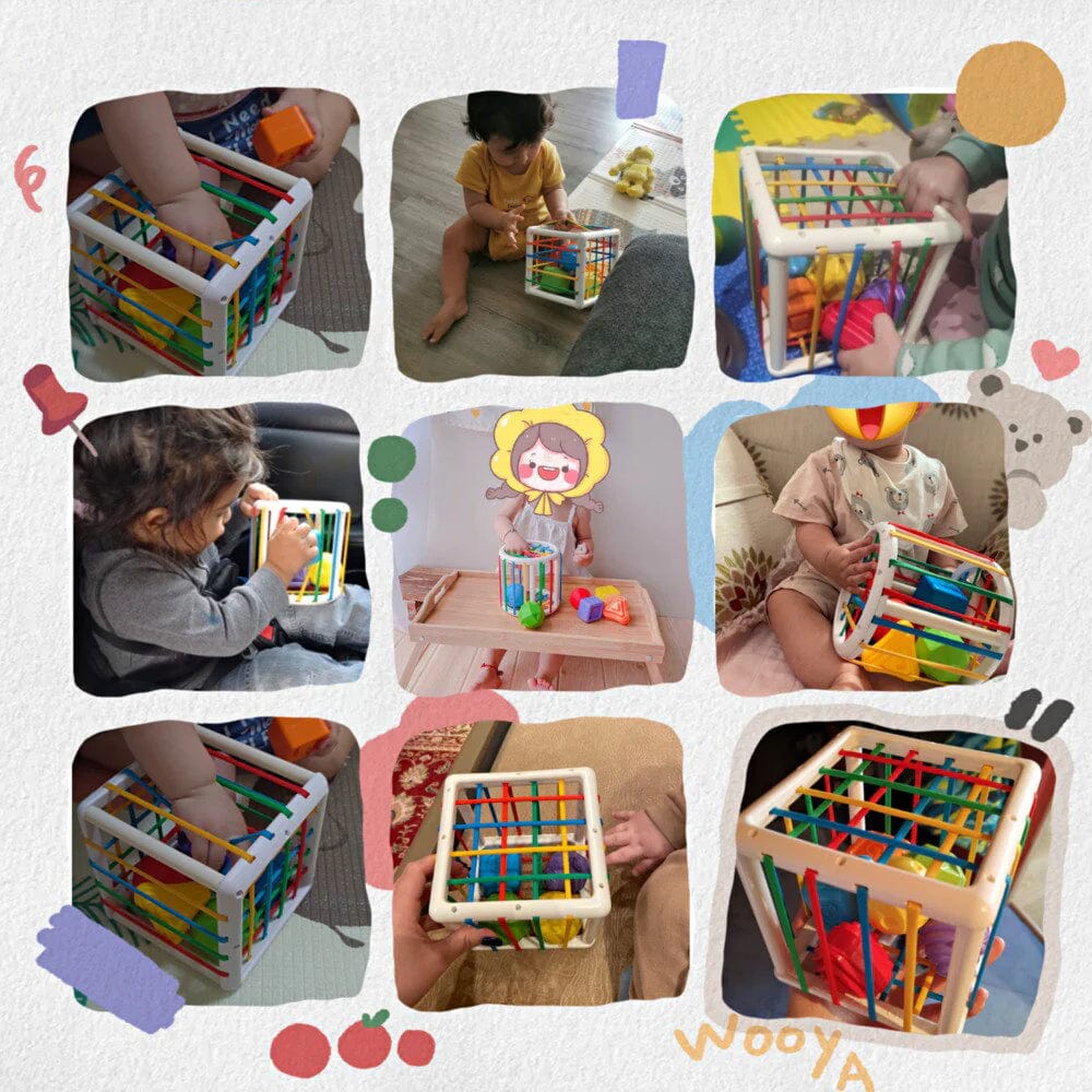Buysera Box - Educational Box