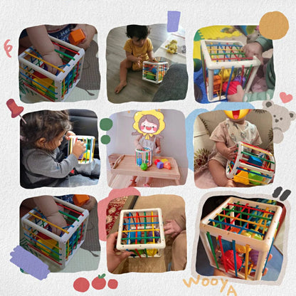Buysera Box - Educational Box